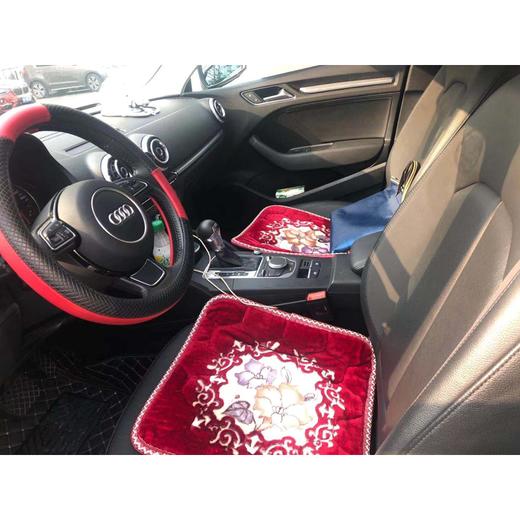 【月租-北京】奥迪 A3 Sportback 35 TFSI 进取型 商品图7