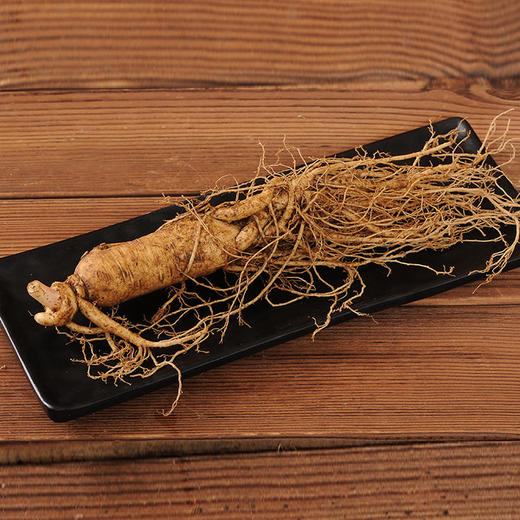 【长白山鲜人参】参形美、质坚硬，气微香，味微苦且甘 商品图2