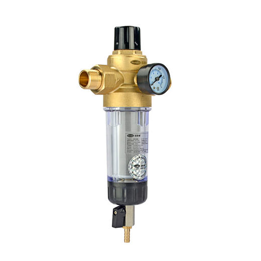 汉斯顿（Hunsdon） 家用前置自来水过滤器 直冲式无需换芯净水器除泥沙铁锈 有表稳压 商品图1