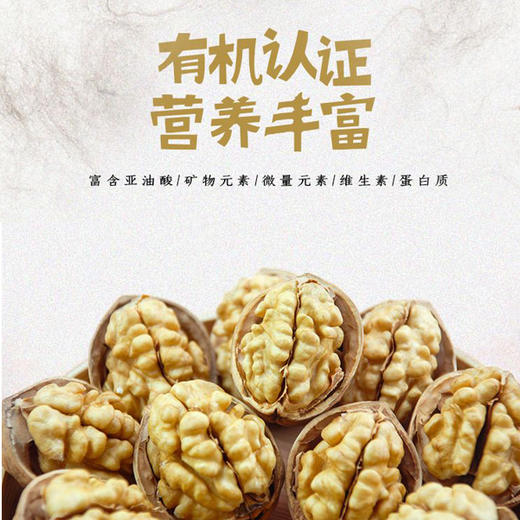 【产地直发包邮】坡坡上有机纸皮核桃 商品图2