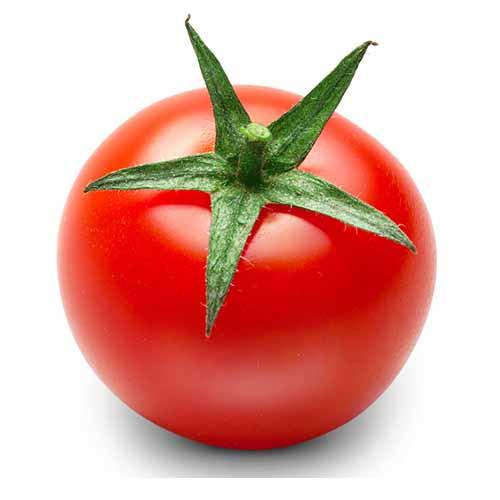 番茄 500g 商品图0