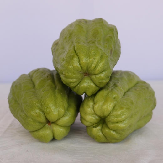 洋茄瓜500g限西昌市区购买