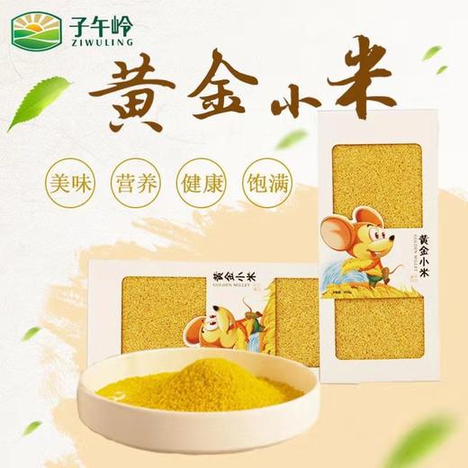 子午岭小米 500g/袋 精制 黄小米 小黄米 月子米 小米粥 粗粮杂粮  商品图3