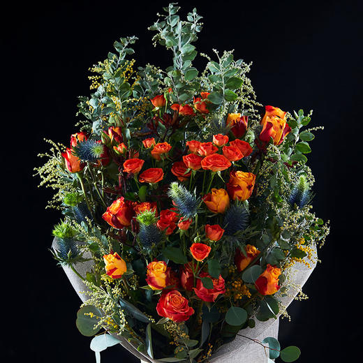 情人节火焰玫瑰no1188