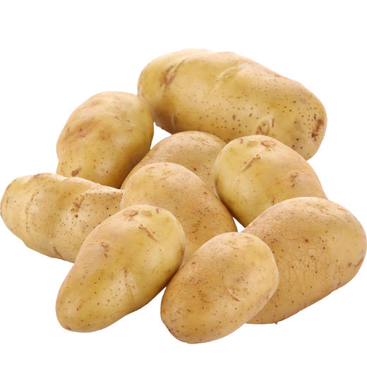 土豆  500g 商品图0