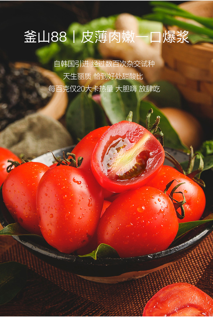 韩国釜山88樱桃番茄3斤富含番茄红素胡萝卜素维生素a比樱桃更小更有味