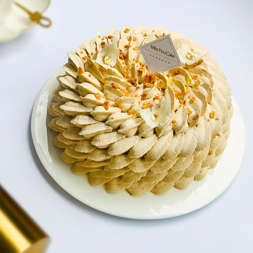 伯爵杏子 商品图2