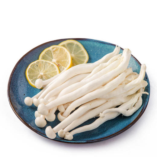 海鲜菇(约0.50斤) 商品图0