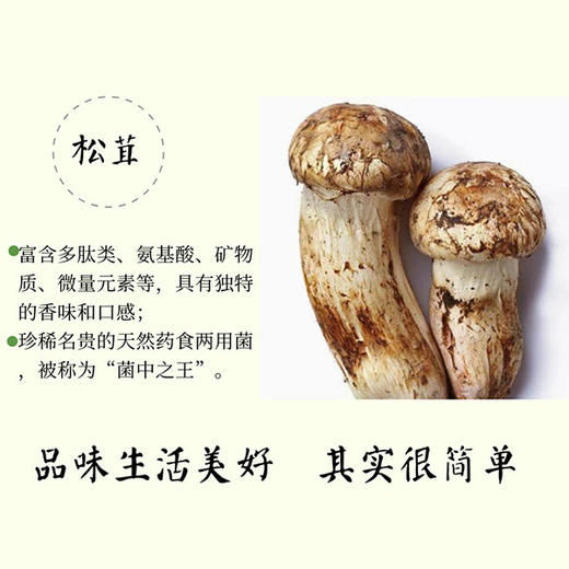 【缺货预定中】天然蔬果调味粉 120g/瓶 商品图4