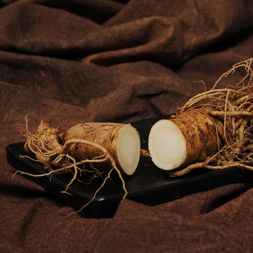 【长白山鲜人参】参形美、质坚硬，气微香，味微苦且甘 商品图1