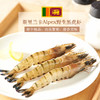 原装进口斯里兰卡野生黑虎虾	800g 商品缩略图0