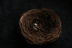 CHEZ BOQUE 庭园的馈赠系列原创手工925银戒指《藤堇1号》