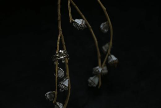 CHEZ BOQUE 羁绊系列原创手工925银戒指《缠绕23号》 商品图5