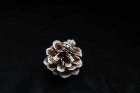 CHEZ BOQUE 羁绊系列原创手工925银戒指《缠绕22号》