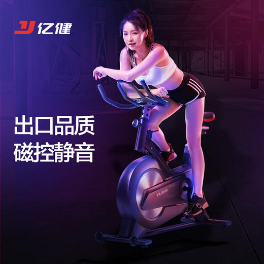 亿健 动感单车家用磁控静音健身车自行车健身器材灰色心率款 商品图1