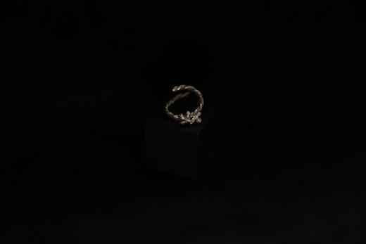 CHEZ BOQUE 庭园的馈赠系列原创手工925银戒指《藤堇2号》 商品图5