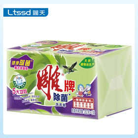 雕牌除菌洗衣皂202g*2（21000888）【21000888】