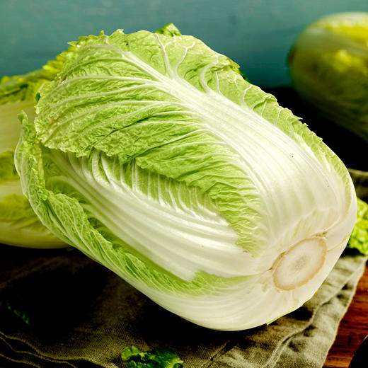 山东青岛特产现摘胶州大白菜农家自种新鲜蔬菜包心菜时令青菜6斤
