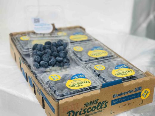 怡颗莓 蓝莓 味道浓郁 商品图2