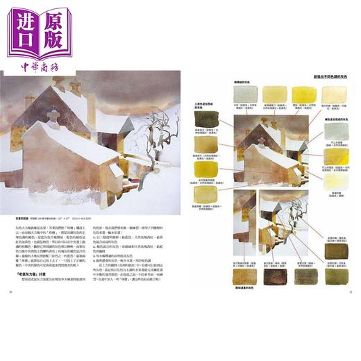 【中商原版】向大师学调色〔美国33年长销经典〕：从配色到构图，让水彩画更出色生动的31堂课 港台原版 远流 商品图2