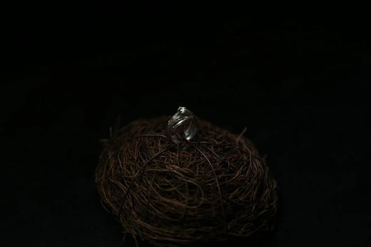 CHEZ BOQUE 羁绊系列原创手工925银戒指《缠绕23号》 商品图1