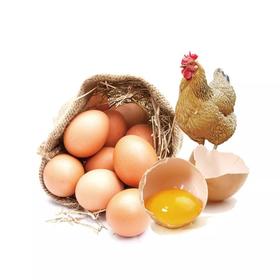 洋鸡蛋360枚（大件）52斤左右大蛋