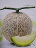 【玫珑网纹蜜瓜】5头/箱/约10.5斤，吃软不吃硬，甜蜜多汁 商品缩略图0