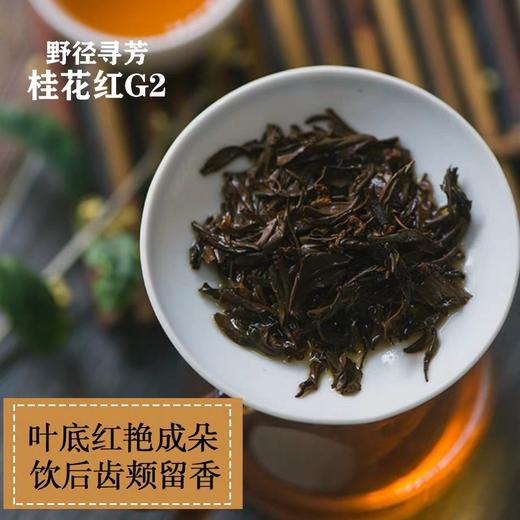 野径寻芳•桂花红G2（精装） 商品图2