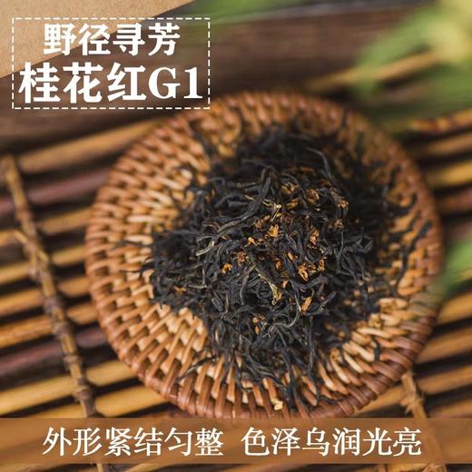 野径寻芳•桂花红G1（精装）
【今日购赠兰贵人一罐125克/罐】 商品图1