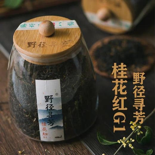 野径寻芳•桂花红G1（精装）
【今日购赠兰贵人一罐125克/罐】 商品图0