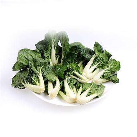 宁夏白菜仔