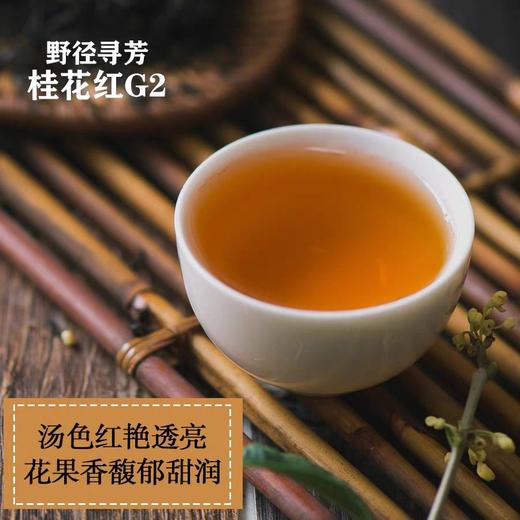 野径寻芳•桂花红G2（精装） 商品图3