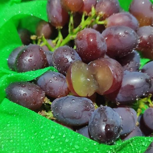 茉莉香小米葡萄 商品图5