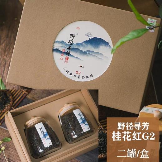 野径寻芳•桂花红G2（精装） 商品图0