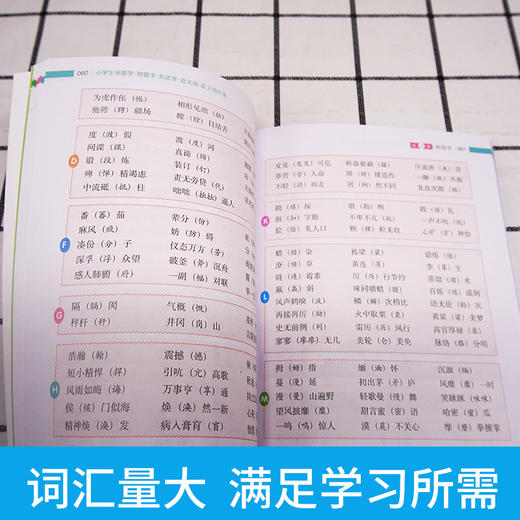 【开心图书】小学生知识点专项错别字+病句+拼音+多音字全4册 商品图13