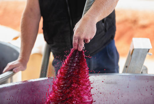 【合作酒庄】十字路赤霞珠葡萄酒2017 Roadscross Cabernet Sauvignon 商品图3