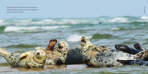 【现货】Comedy Wildlife Photography Awards | 搞笑野生动物摄影奖 商品图1