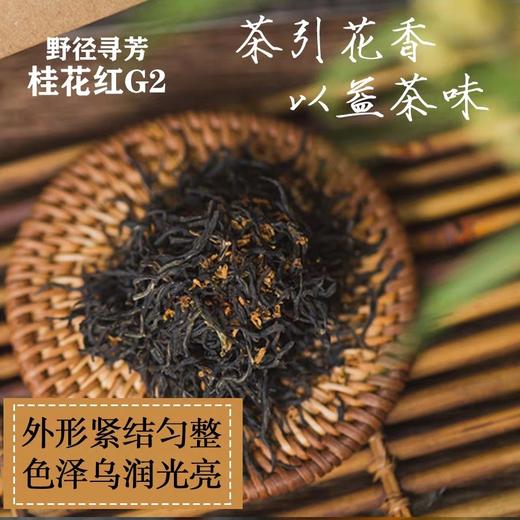 野径寻芳•桂花红G2（精装） 商品图1