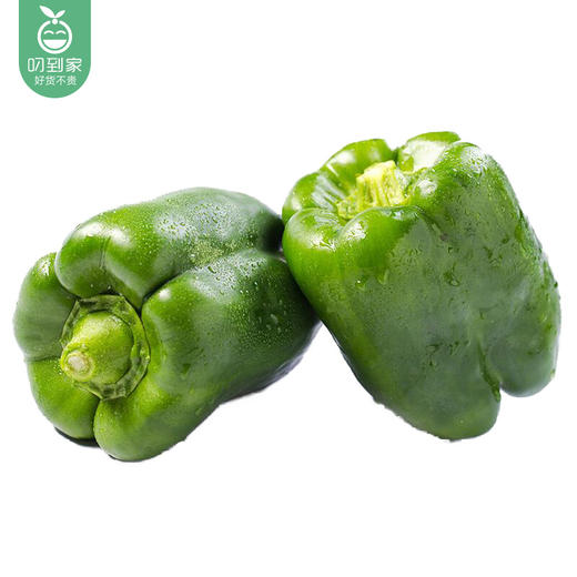 【叼鲜蔬】山东新鲜甜椒/1份（约500g） 商品图1