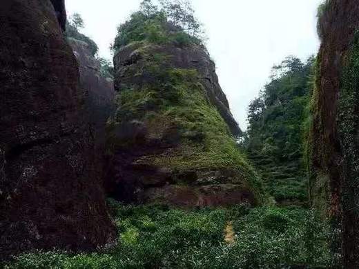 鬼洞，武夷山一个神奇的地方！ 商品图0