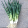 【百汇到家】香葱 商品缩略图1