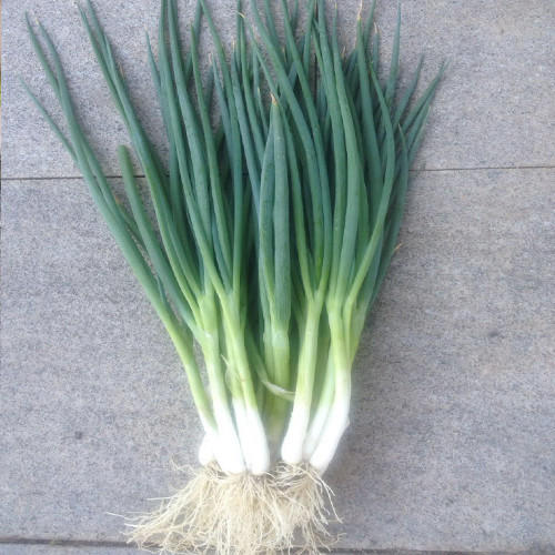 【百汇到家】香葱 商品图1