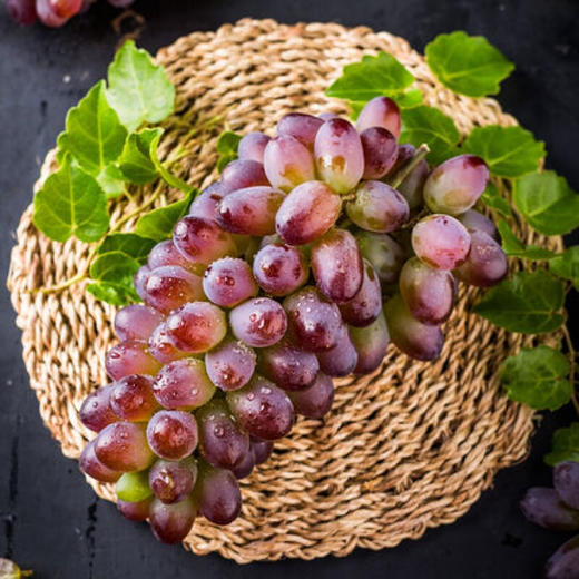 茉莉香小米葡萄 商品图3