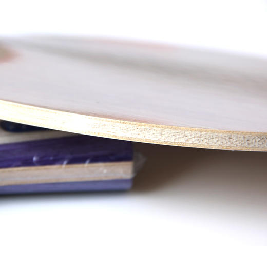 donic多尼克瓦尔德内尔北欧精选21/22/23 5层纯木专业乒乓球底板 商品图3