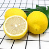【四川·安岳】安岳黄柠檬 精选大果（单果：110-200g ）尤力克柠檬 新鲜水果 商品缩略图6