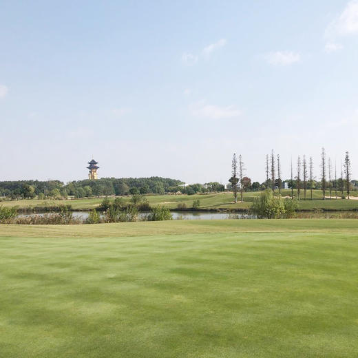 江苏泰州华侨城云海湿地高尔夫俱乐部 Taizhou OCT Golf Club | 泰州高尔夫球场 | 江苏高尔夫球场  |  中国 商品图1