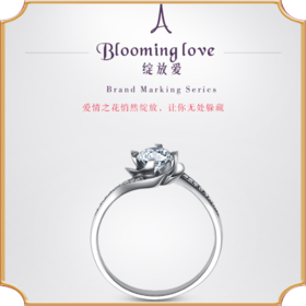 埃菲尔印记婚戒钻戒女戒18K白金钻石戒指求婚结婚绽放爱Ⅳ