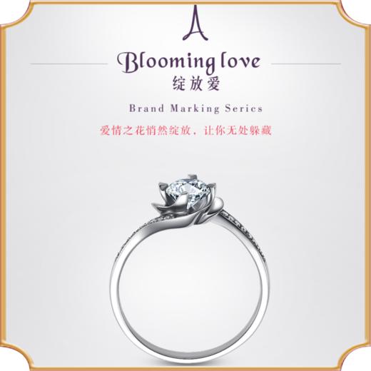 埃菲尔印记婚戒钻戒女戒18K白金钻石戒指求婚结婚绽放爱Ⅳ 商品图0