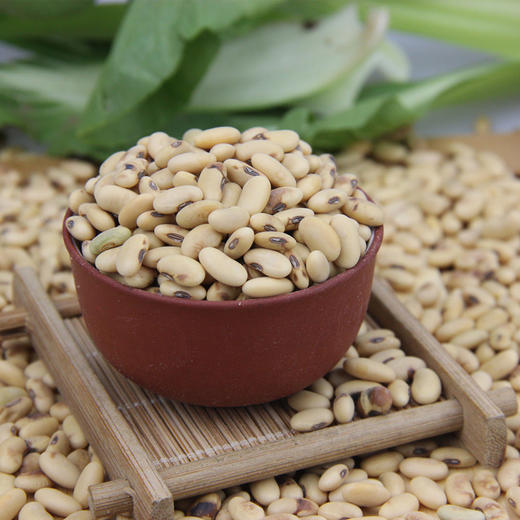 【陕北农家老黄豆】豆香浓郁,营养丰富/砖块5*500g