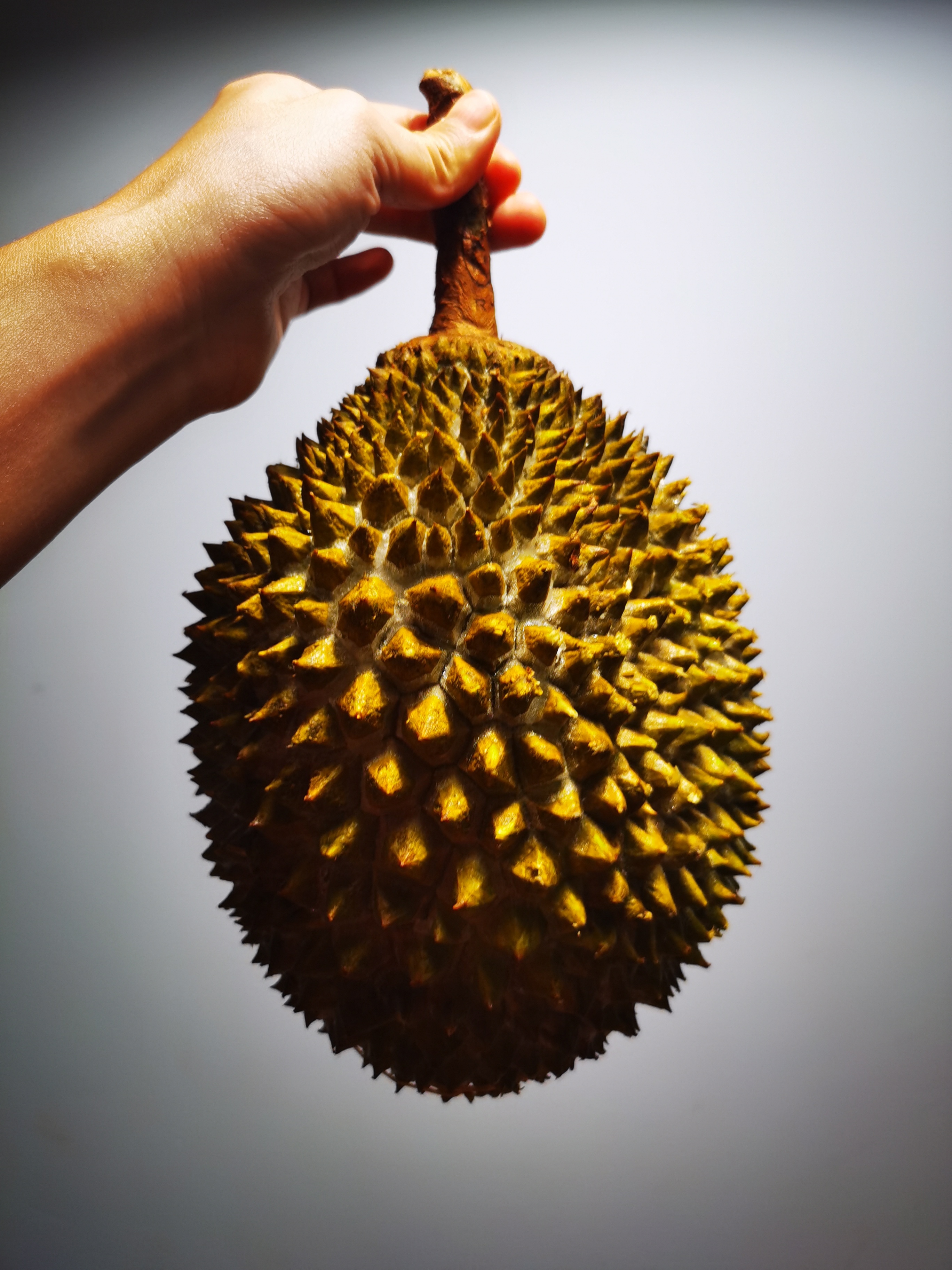 上海直发包邮06马来西亚猫山王榴莲冷冻果